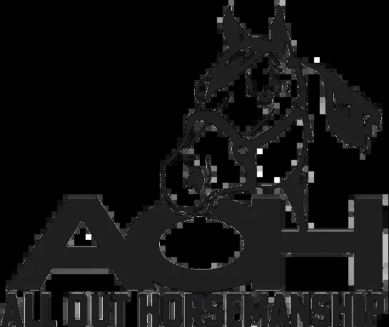 All Out Horsemanship